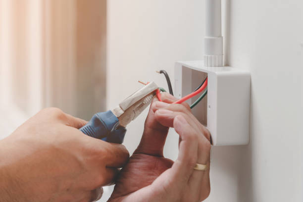 Best Electrical Remodeling Services  in Mayer, MN